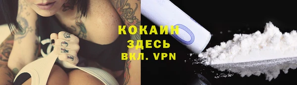 стаф Струнино